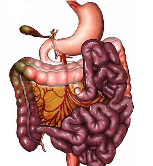 腸息肉者，排便出現(xiàn)3個(gè)異常，十有八九息肉已變成“癌”